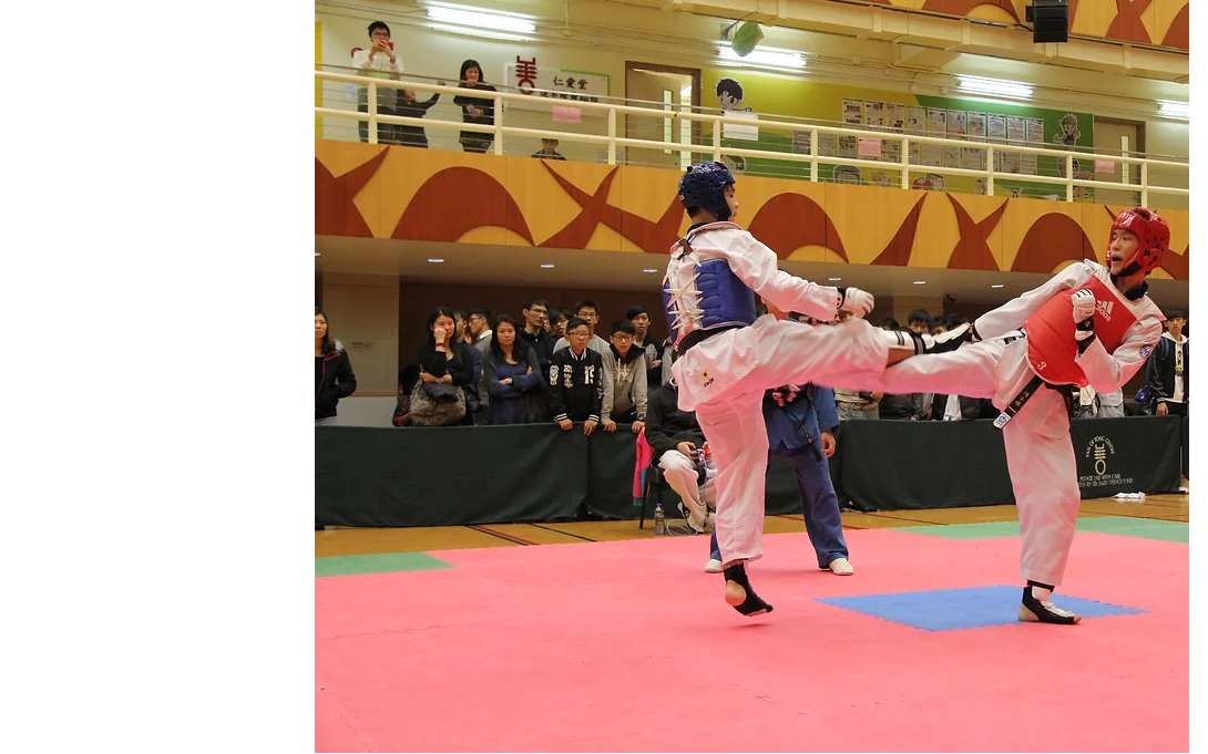 Taekwondo Competition